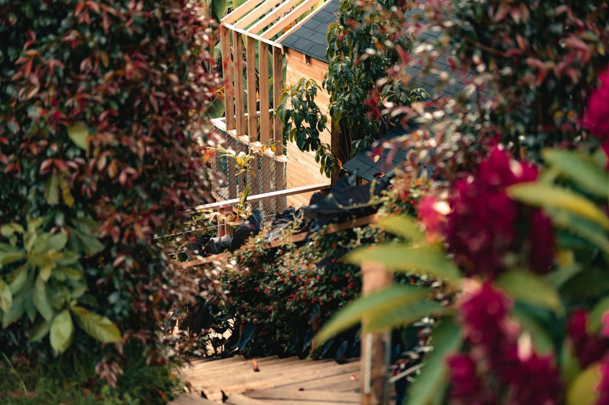Teva Glamping & Retreat Hotel Rionegro Kültér fotó